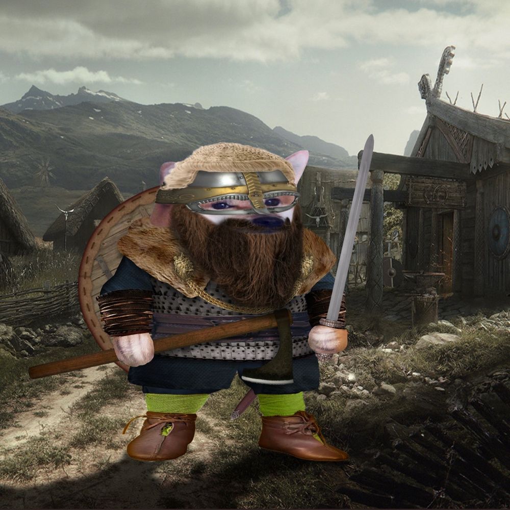 Viking Barrister Fella