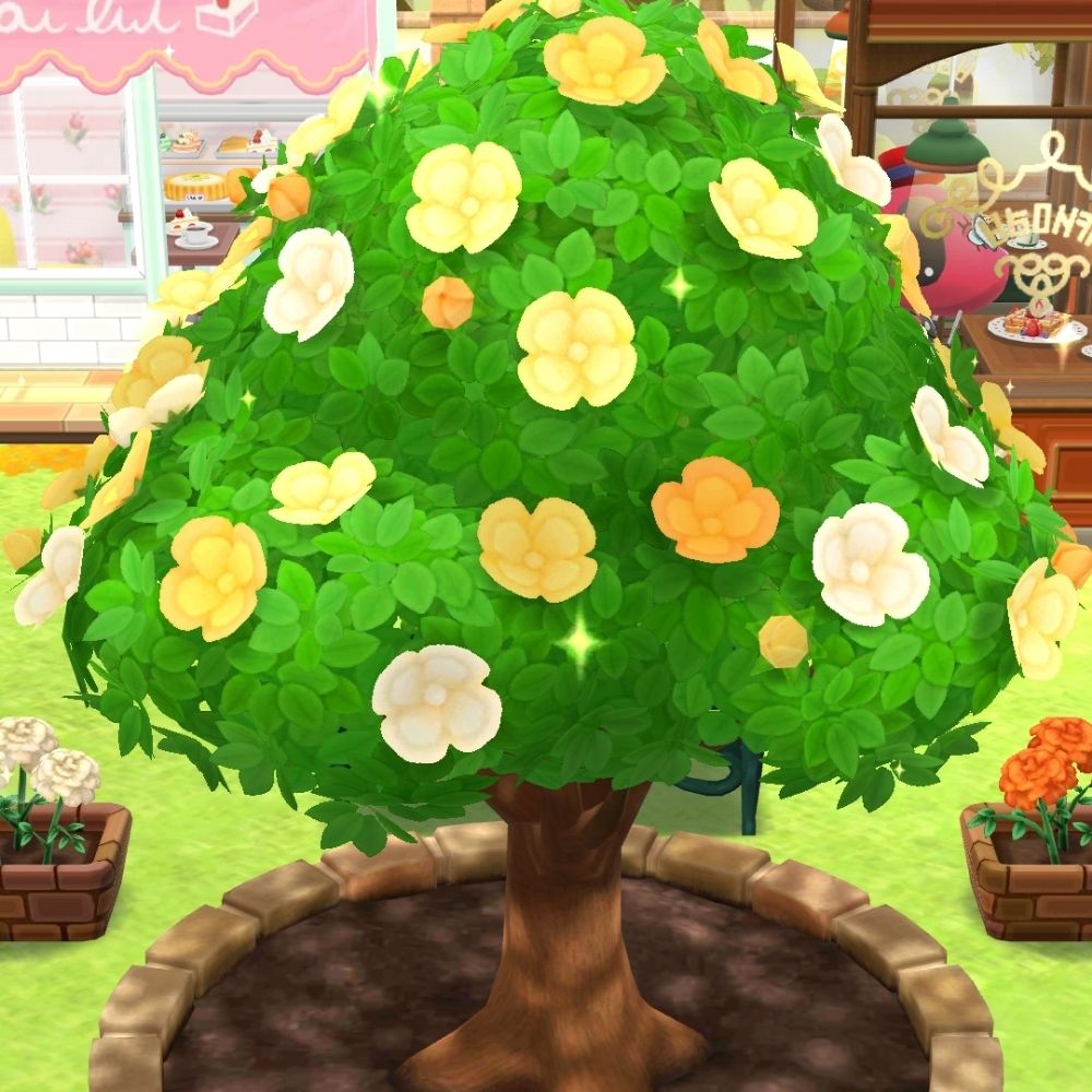 てとら