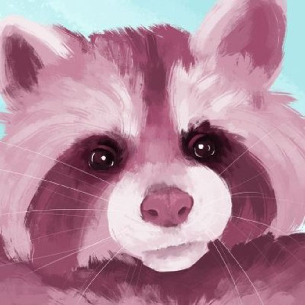 💕maggie racoon💕