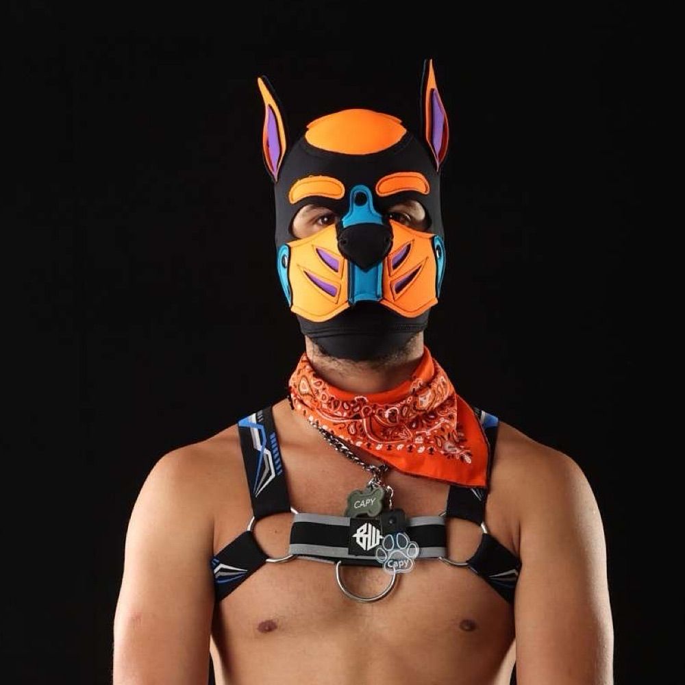 Pup Capy