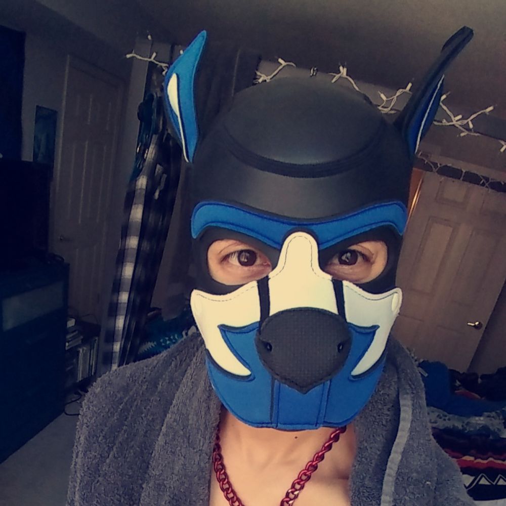 Nanobitez 🐾⛓️