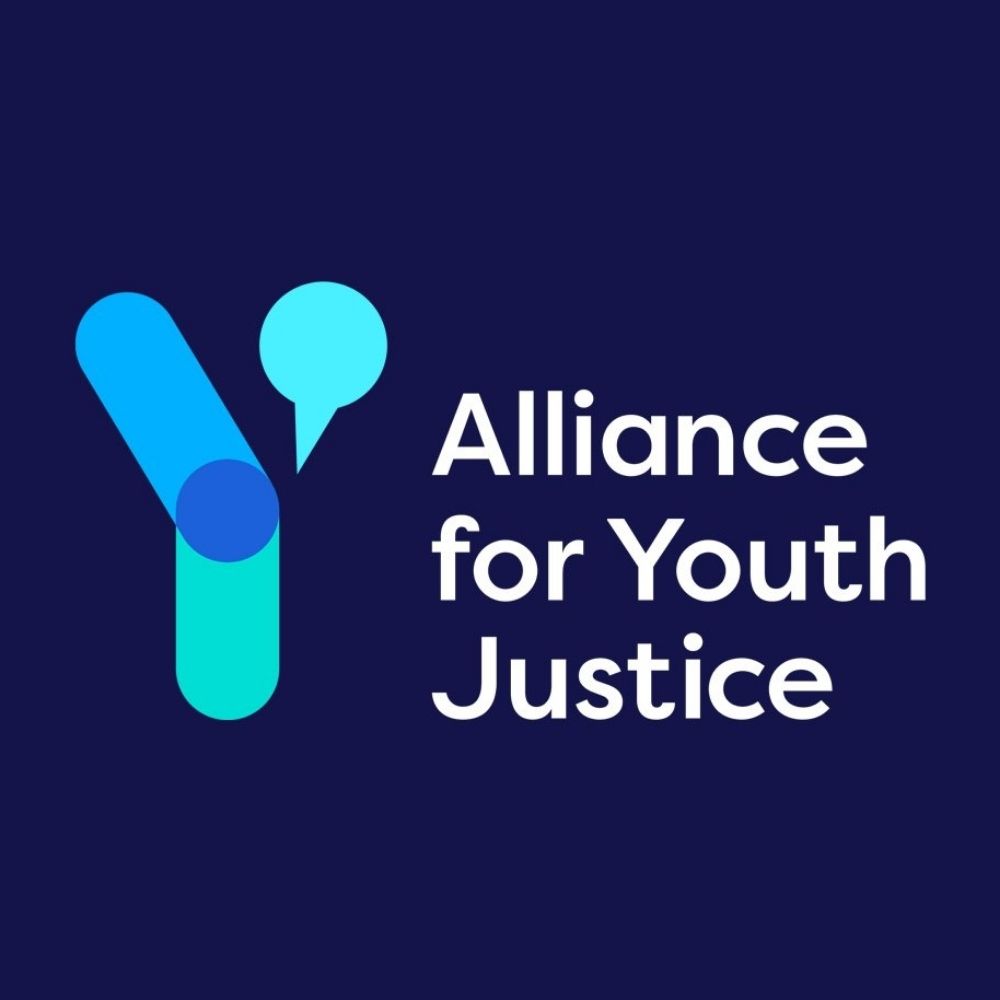 The Alliance for Youth Justice