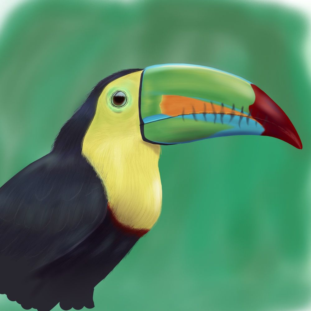 pallizo