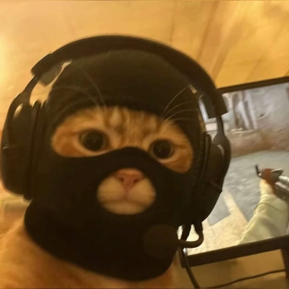 ㅤㅤㅤㅤㅤㅤ