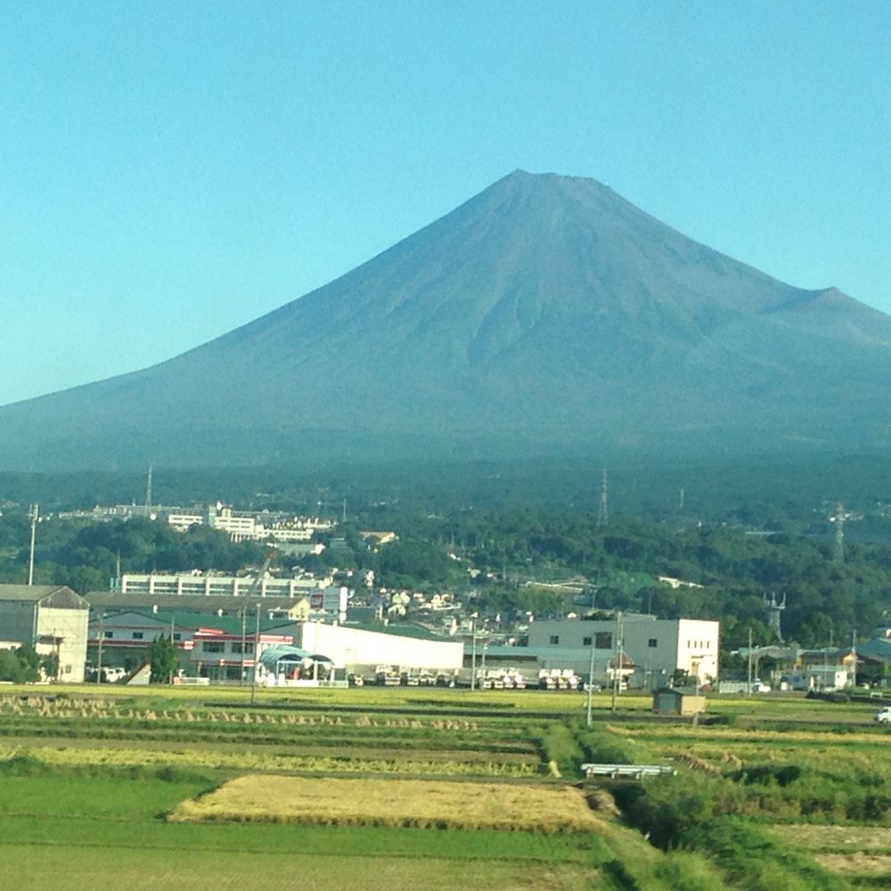 いなゆ