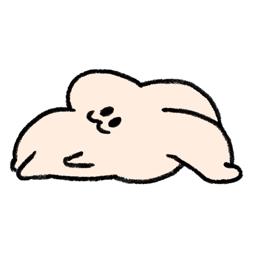 いぬねこや