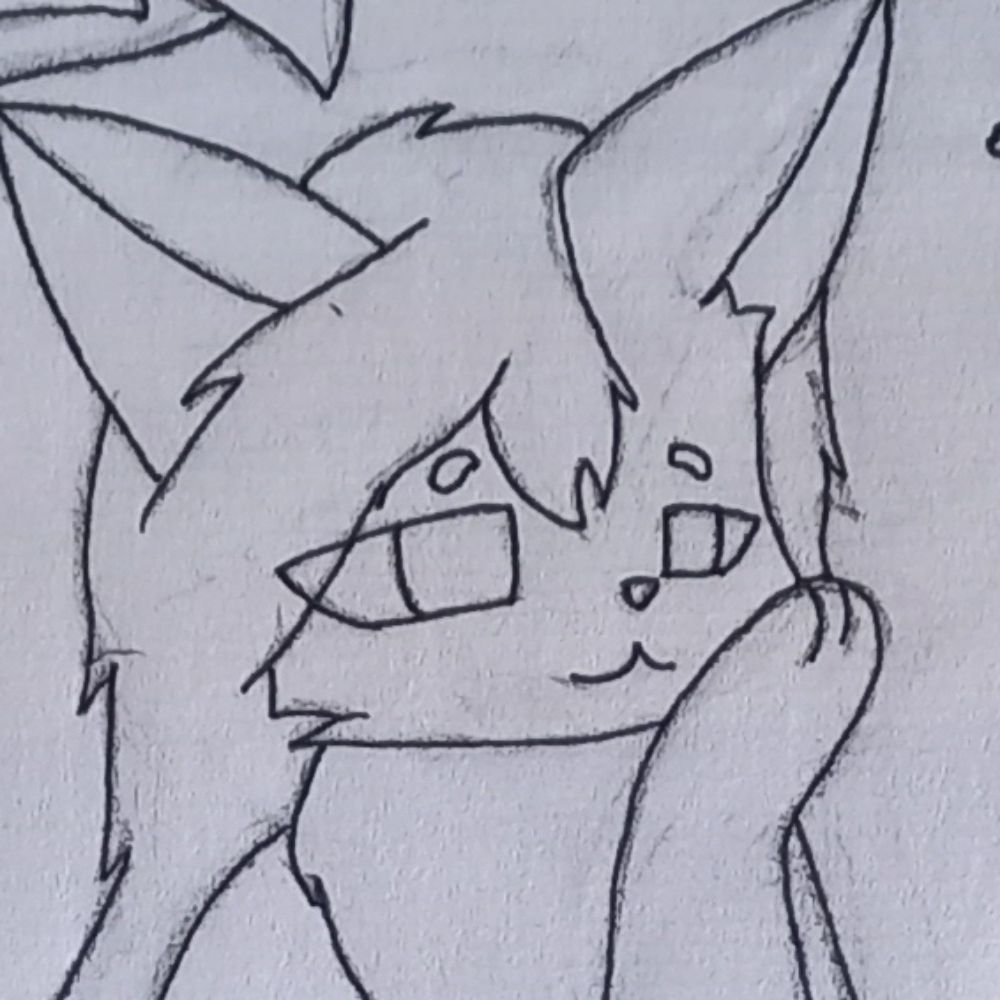 Sephira 🐾