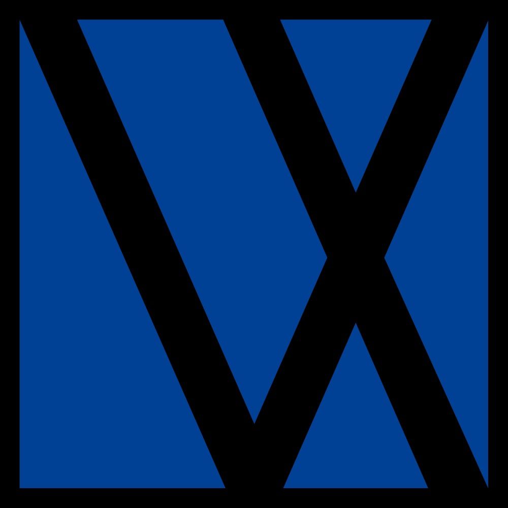 Virtualex Holdings | バーチャレクス・ホールディングス