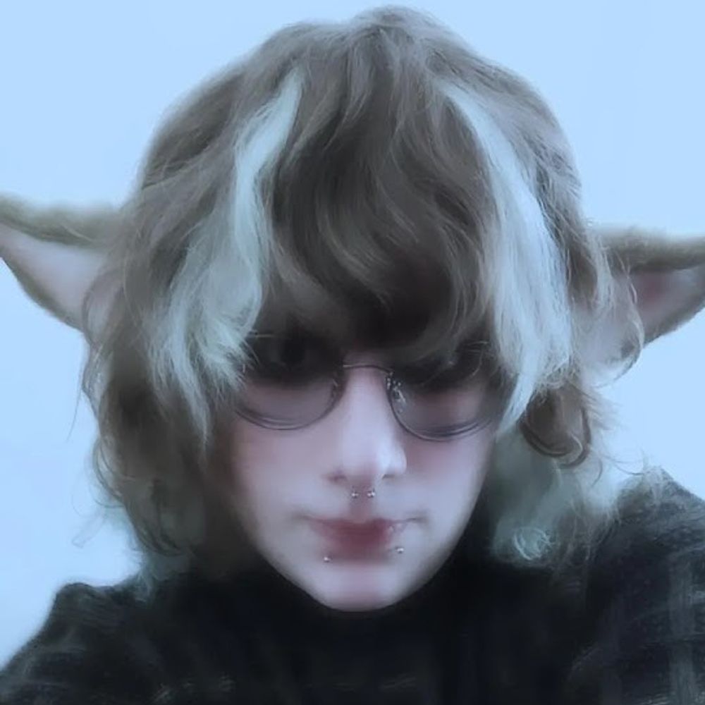 noelle 🐀🦌