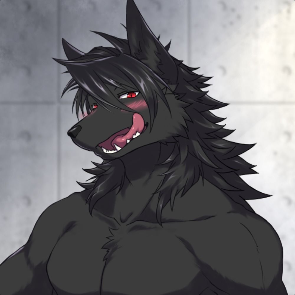  AuroraKemono