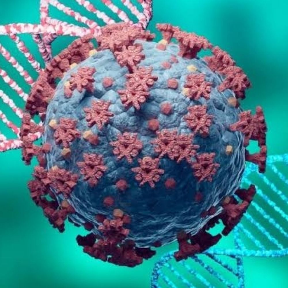 BIOQUÍMICA MPOX 