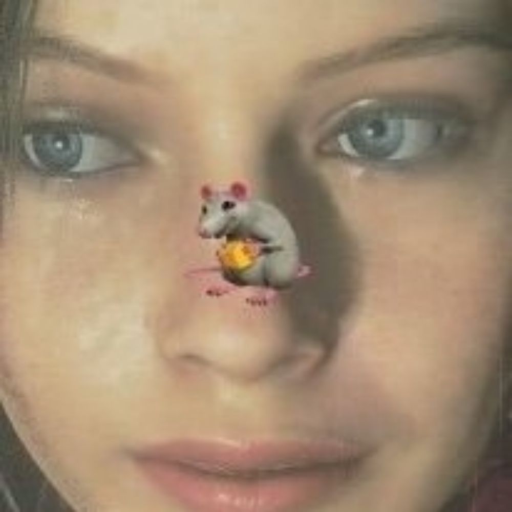 acervo claire redfield 