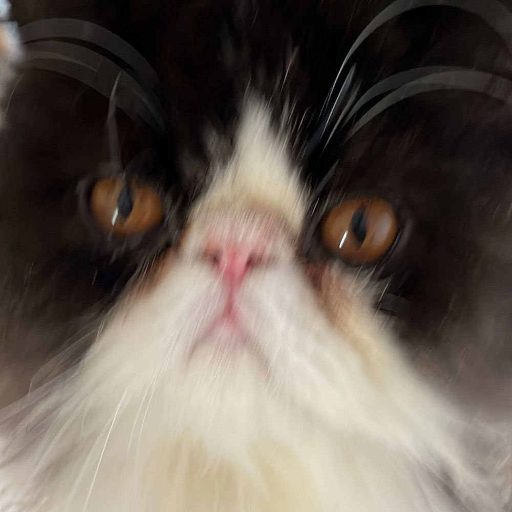 Narocas