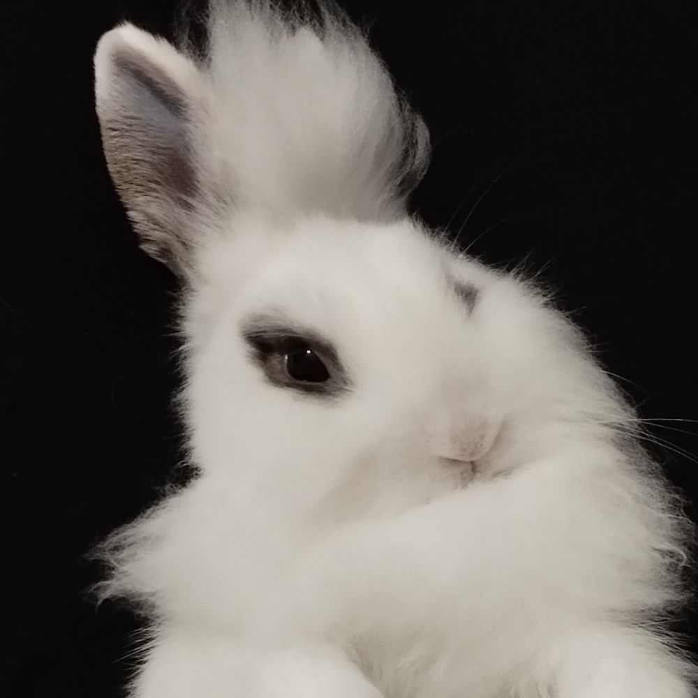 Poofy