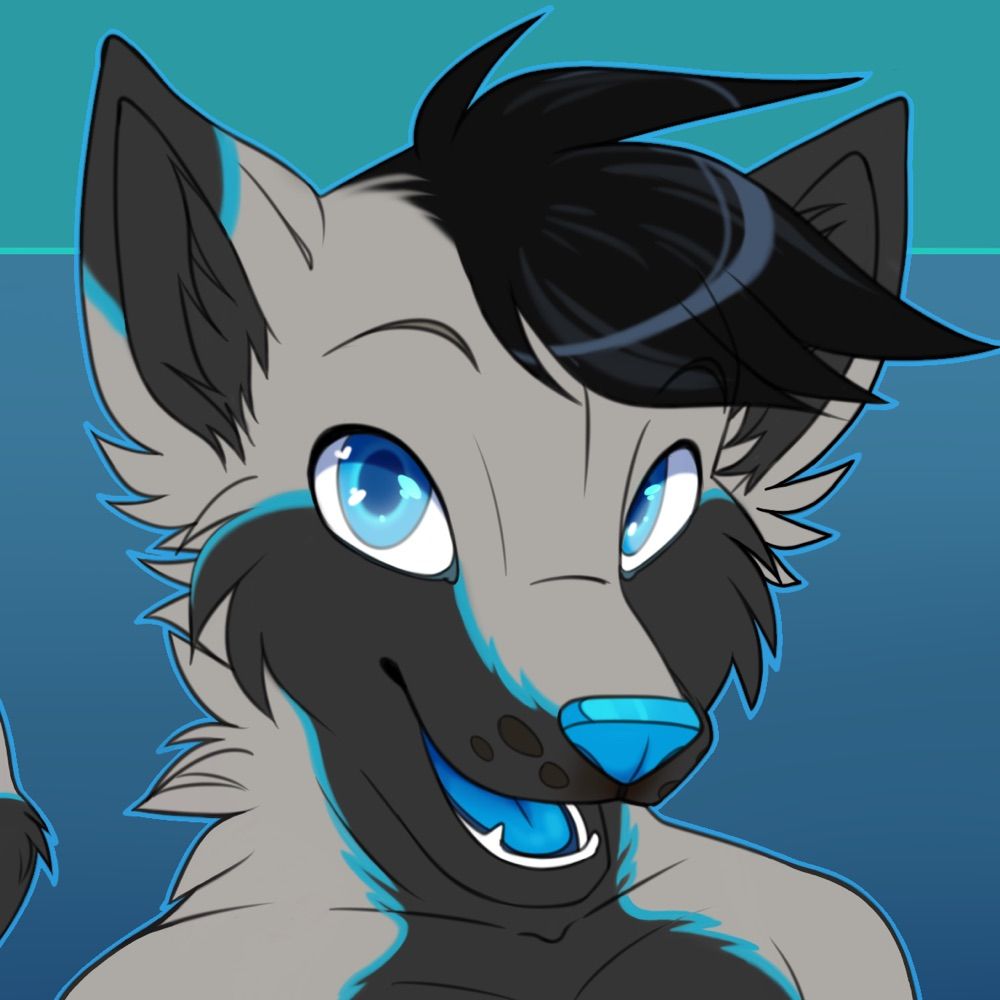 Ace Wolfy