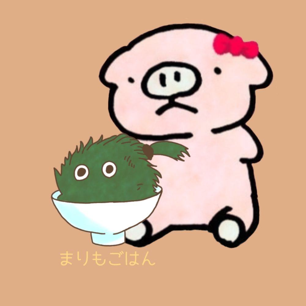 お豆腐そうし_(┐「ε:)_