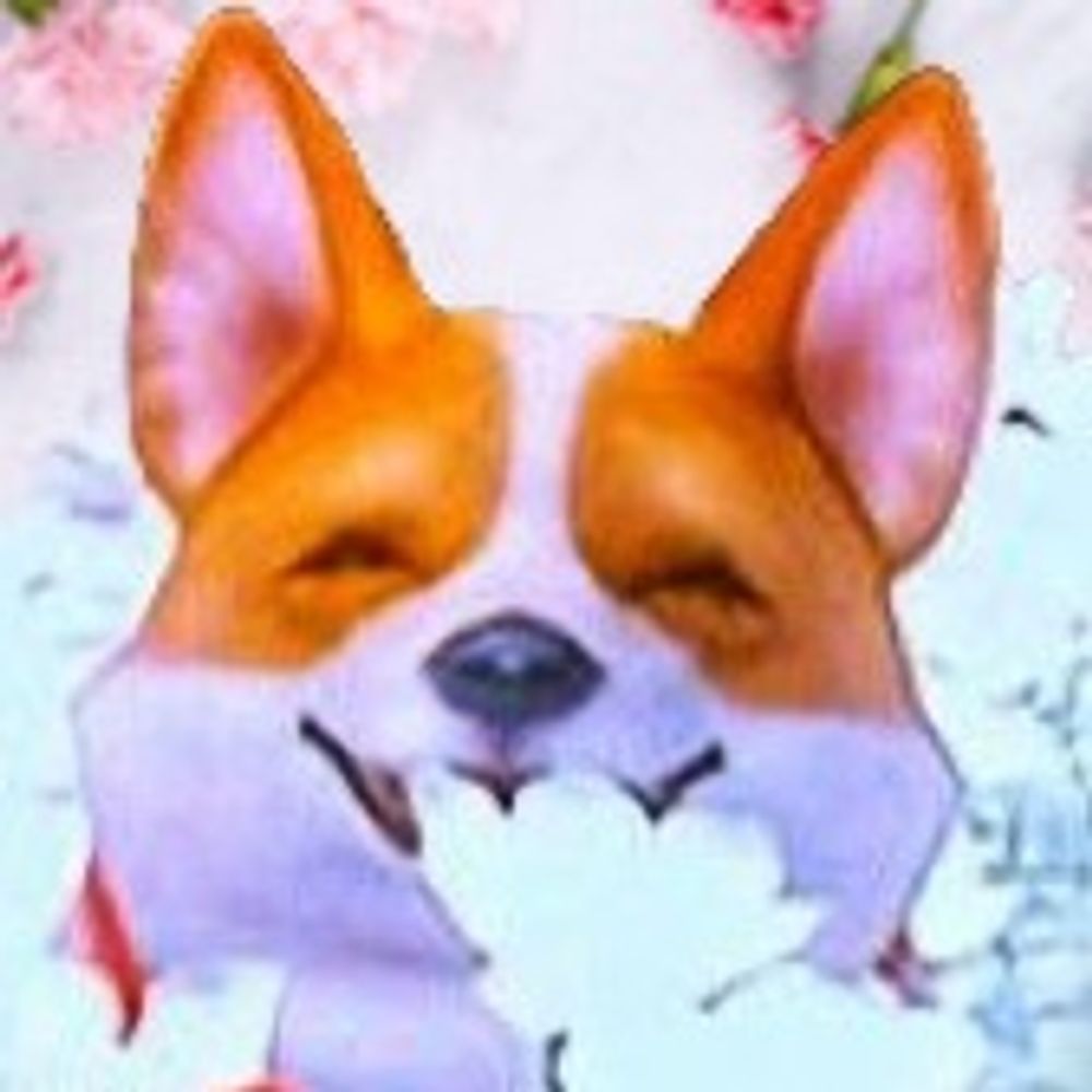 ちっぷ🐿