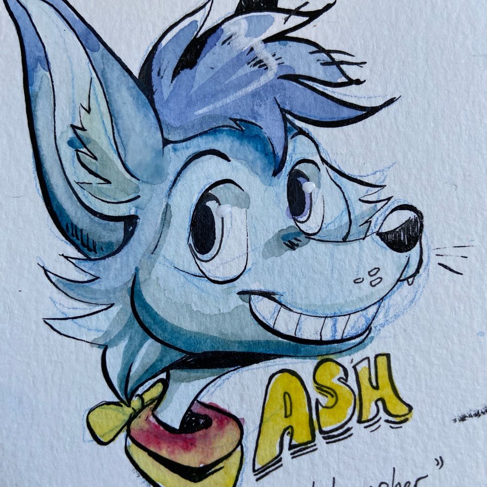 Ash the Folf 📸