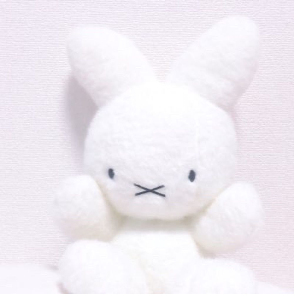 ニナ