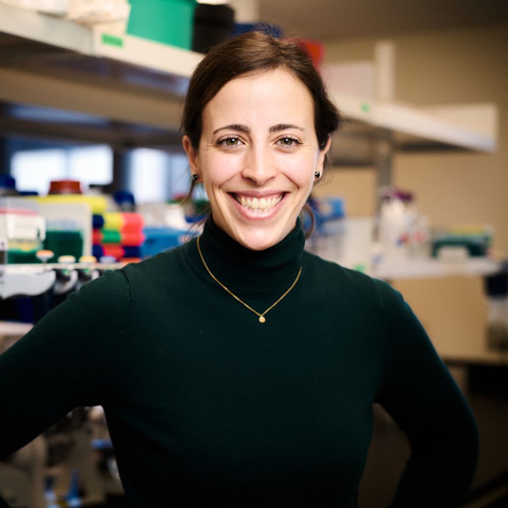 Prof. Isabelle Laforest-Lapointe