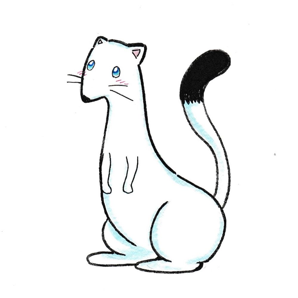 いたち🔞