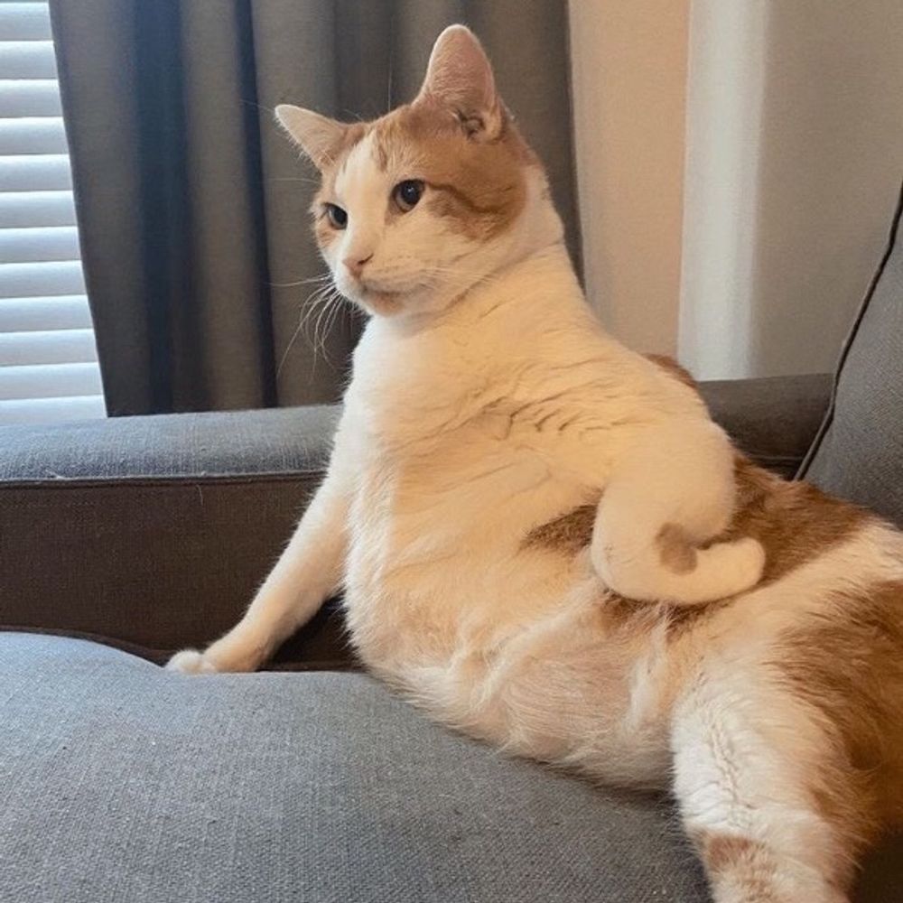 :3