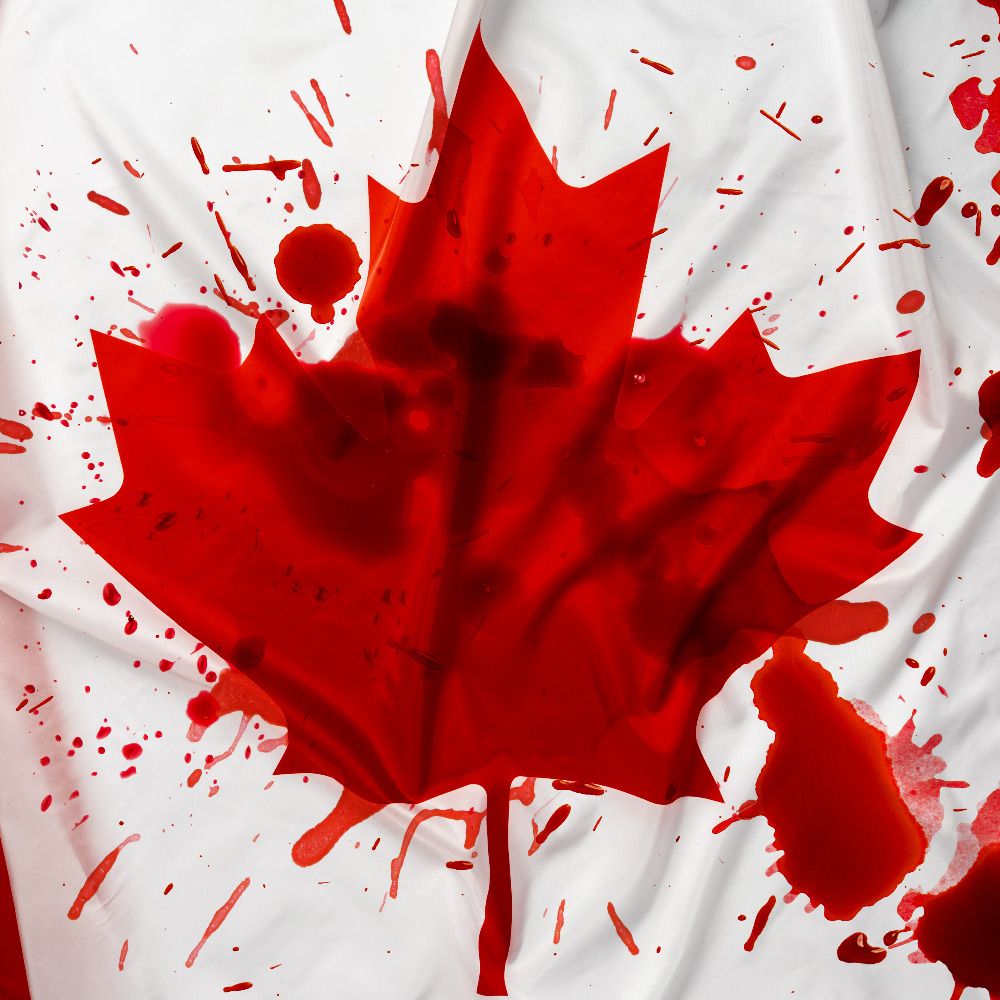 Lapsed Canadian's avatar