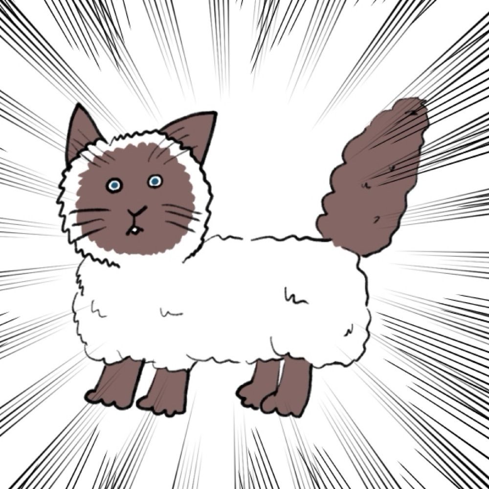 新倉