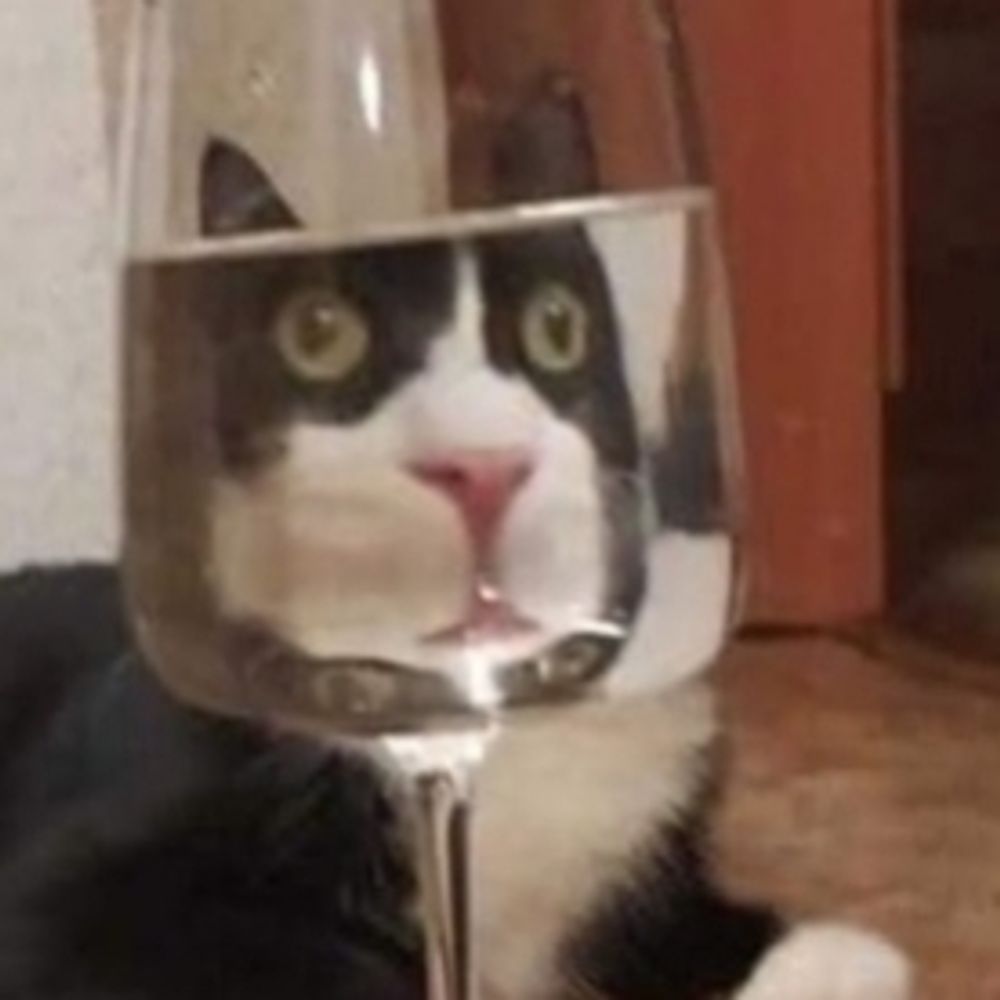 Le Chat de Staline