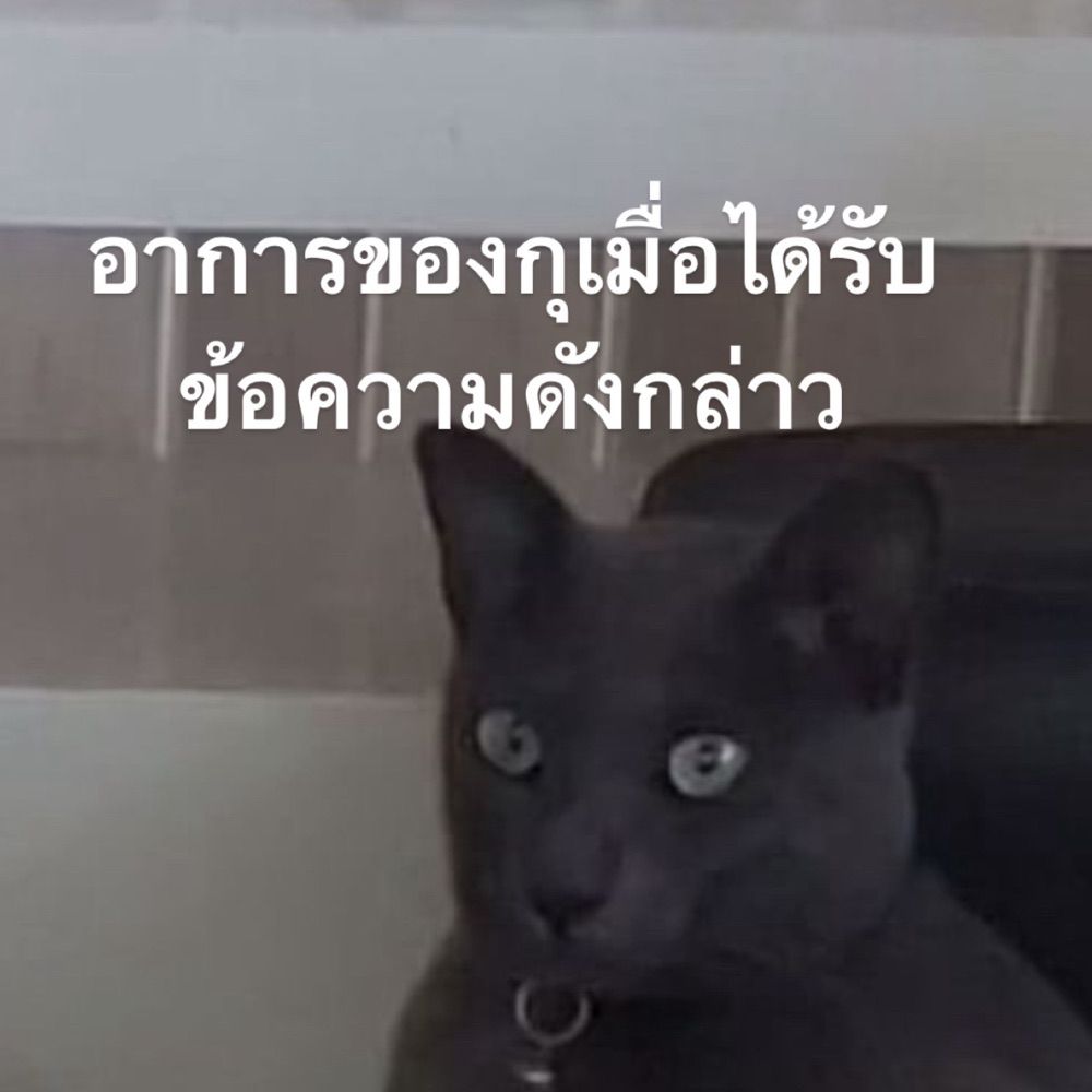 Realtututui (Slow)
