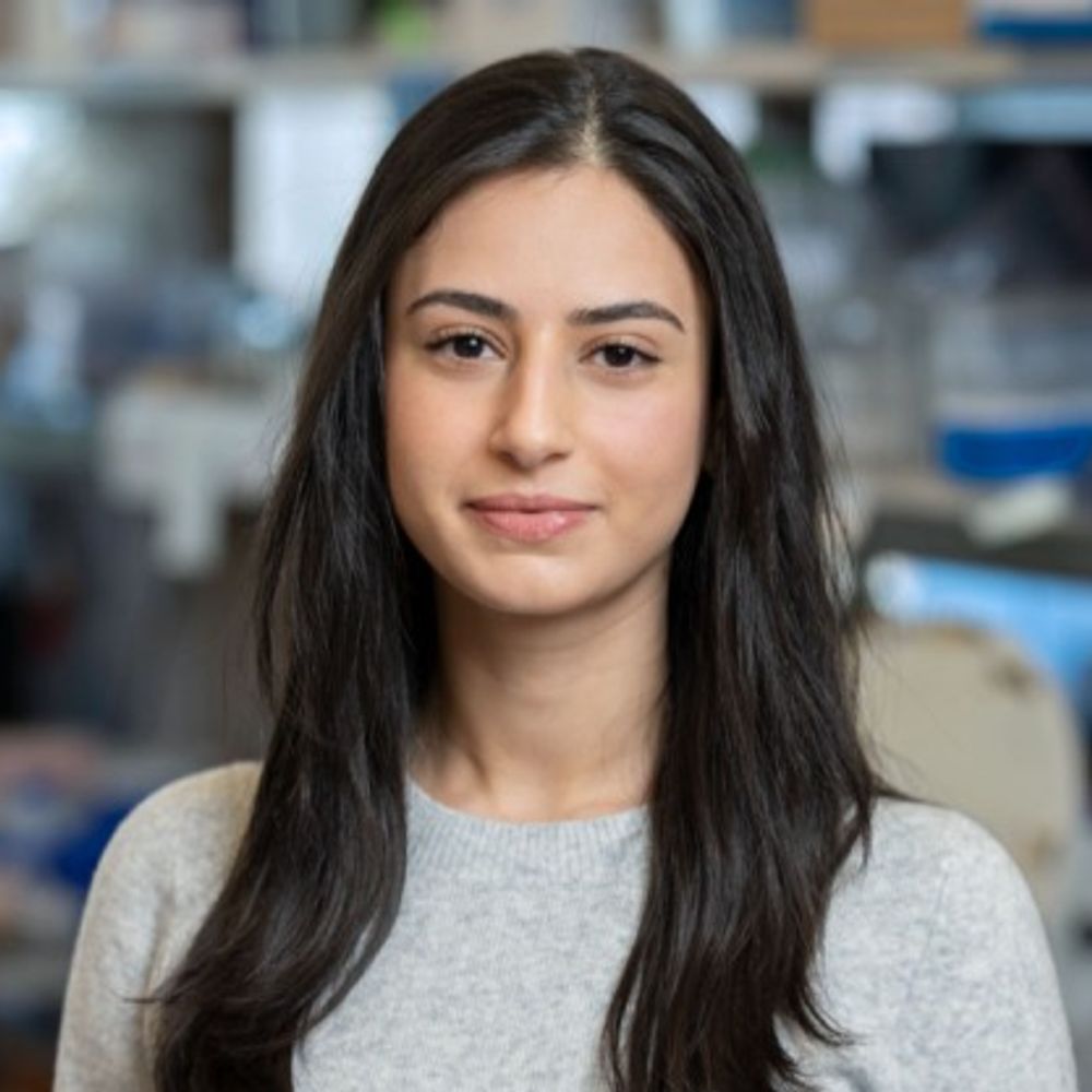 Yassmin Elbanna