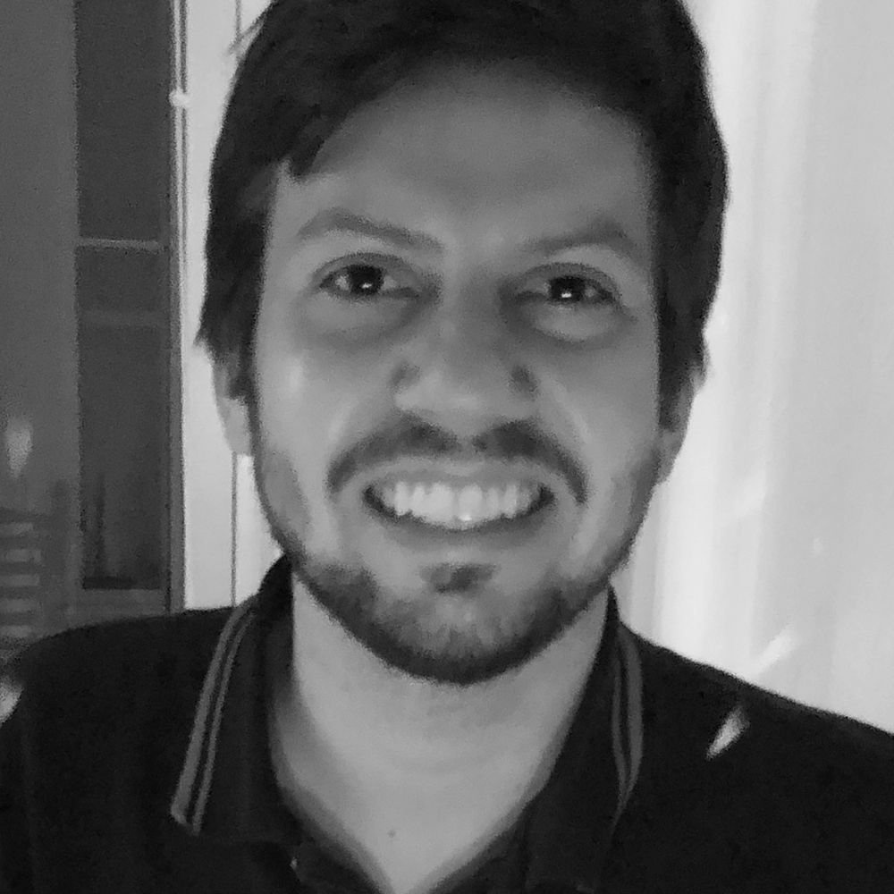 Thiago J Borges, PhD