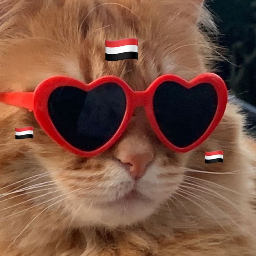 kat ˢᴾᶠᶜ