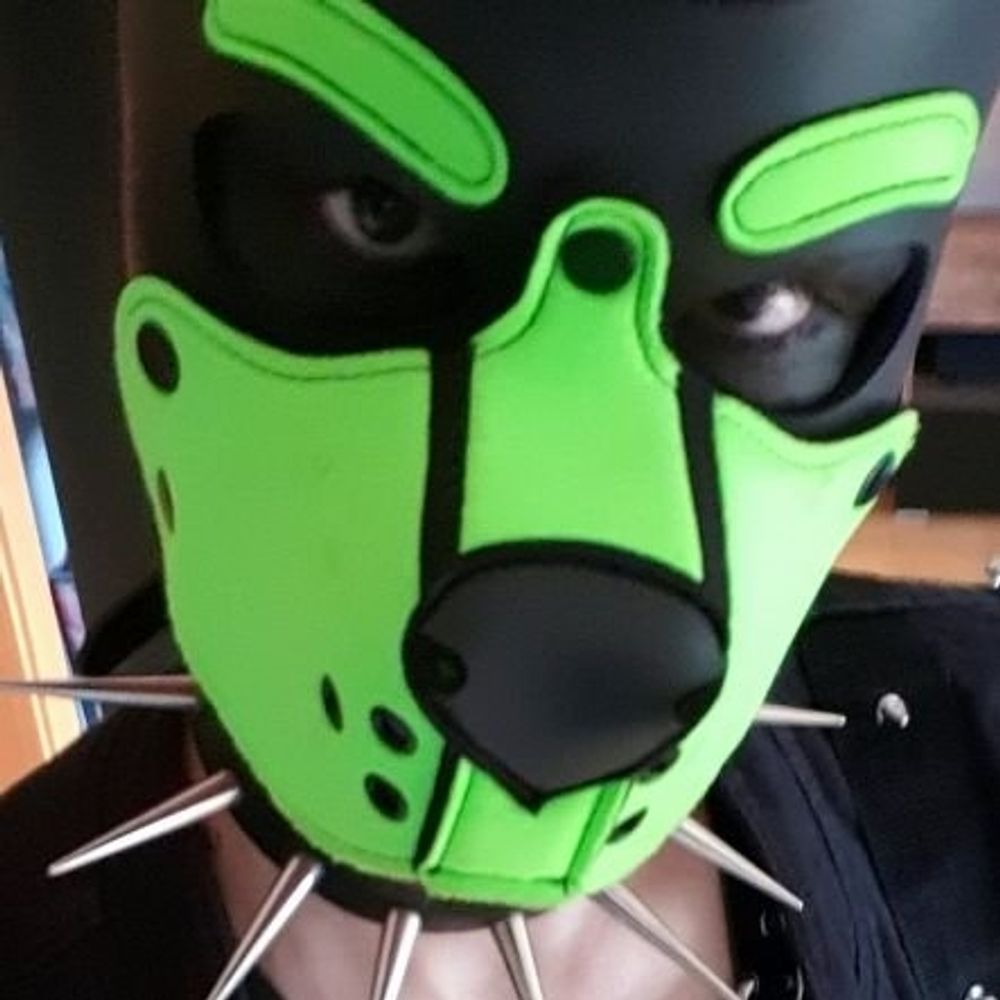 P.Pup777