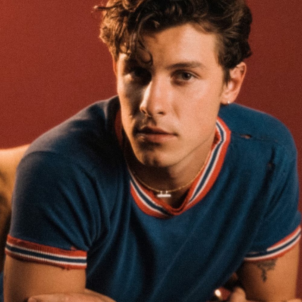 ANDRESSA DO SHAWN MENDES E DA LOUD