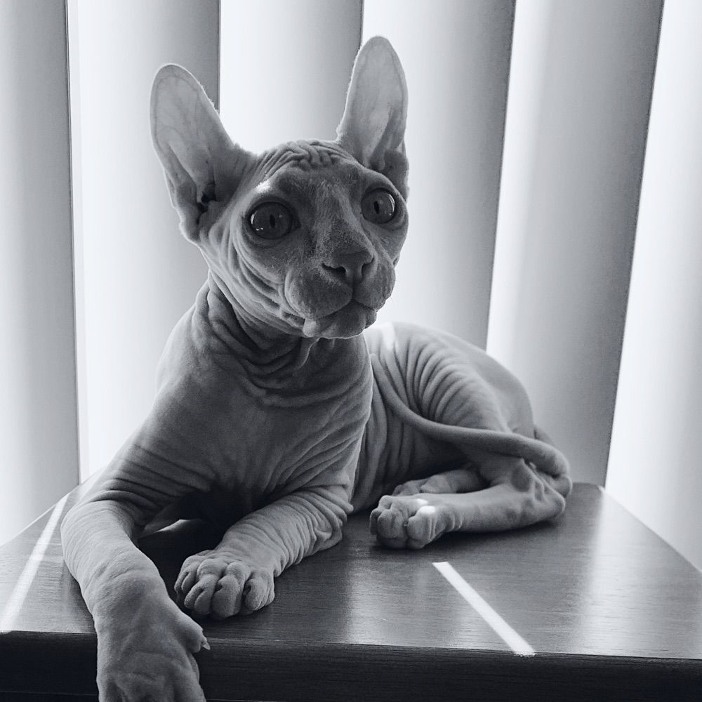 Simon Pawsford