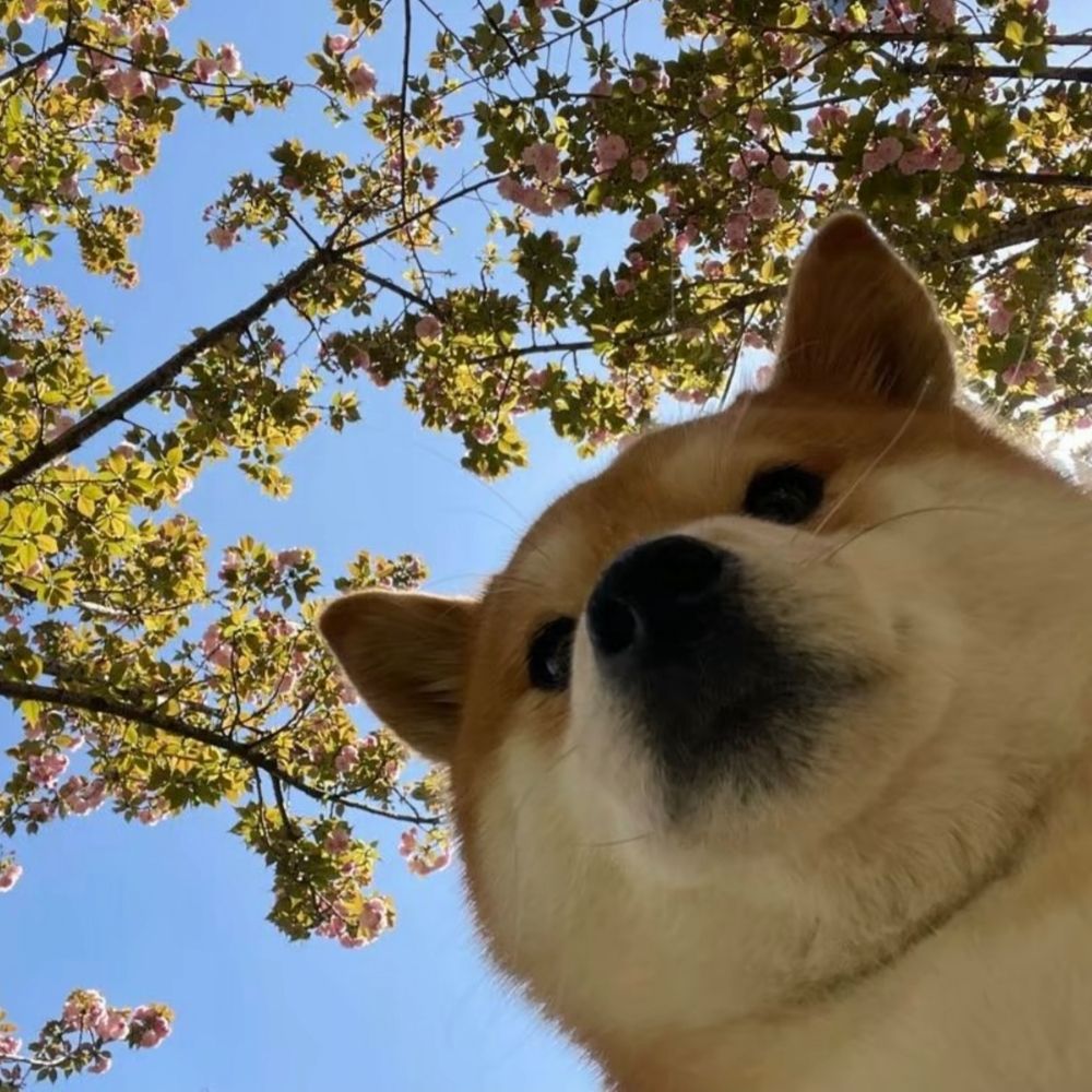 松澈