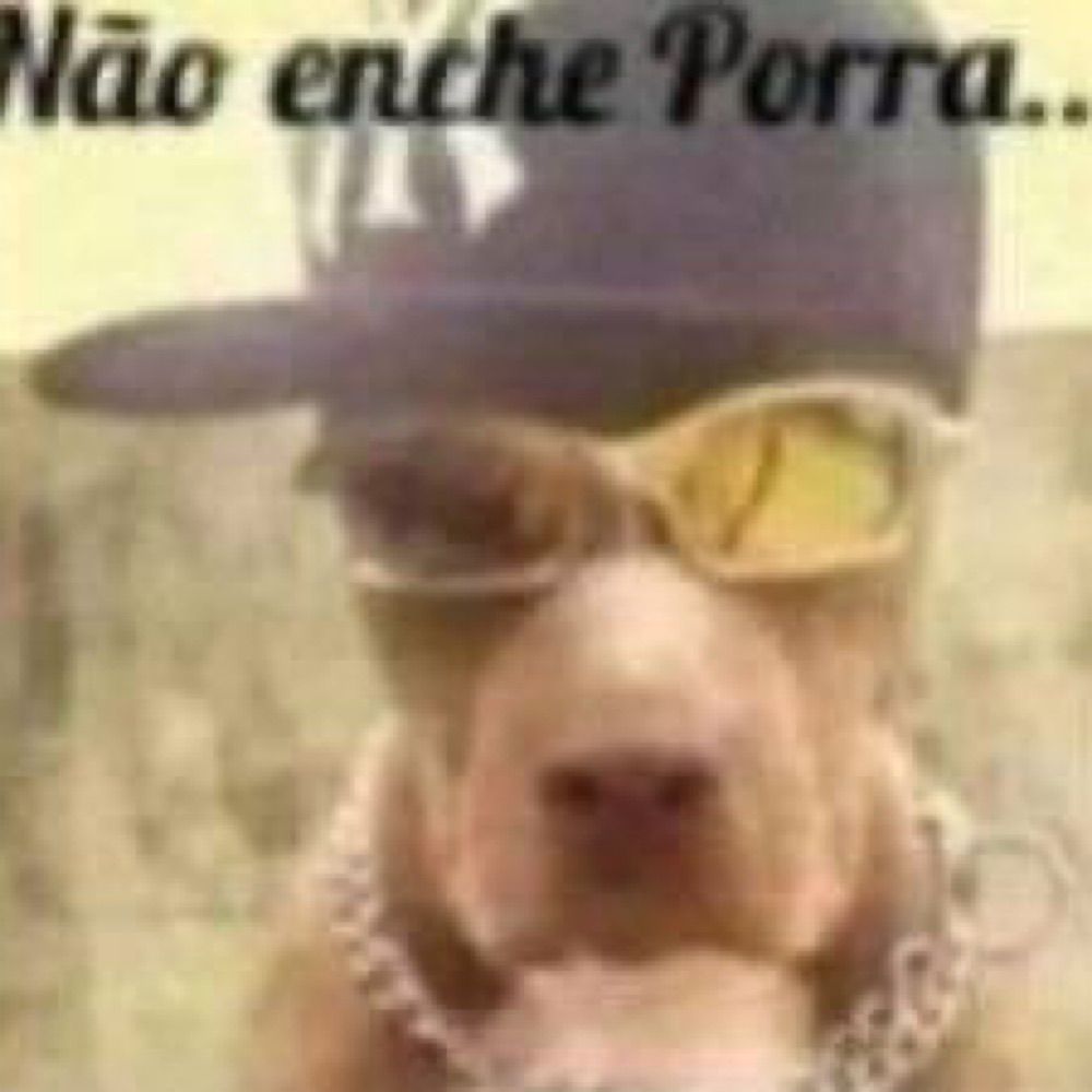 boo - jurídico klaus mikaelson