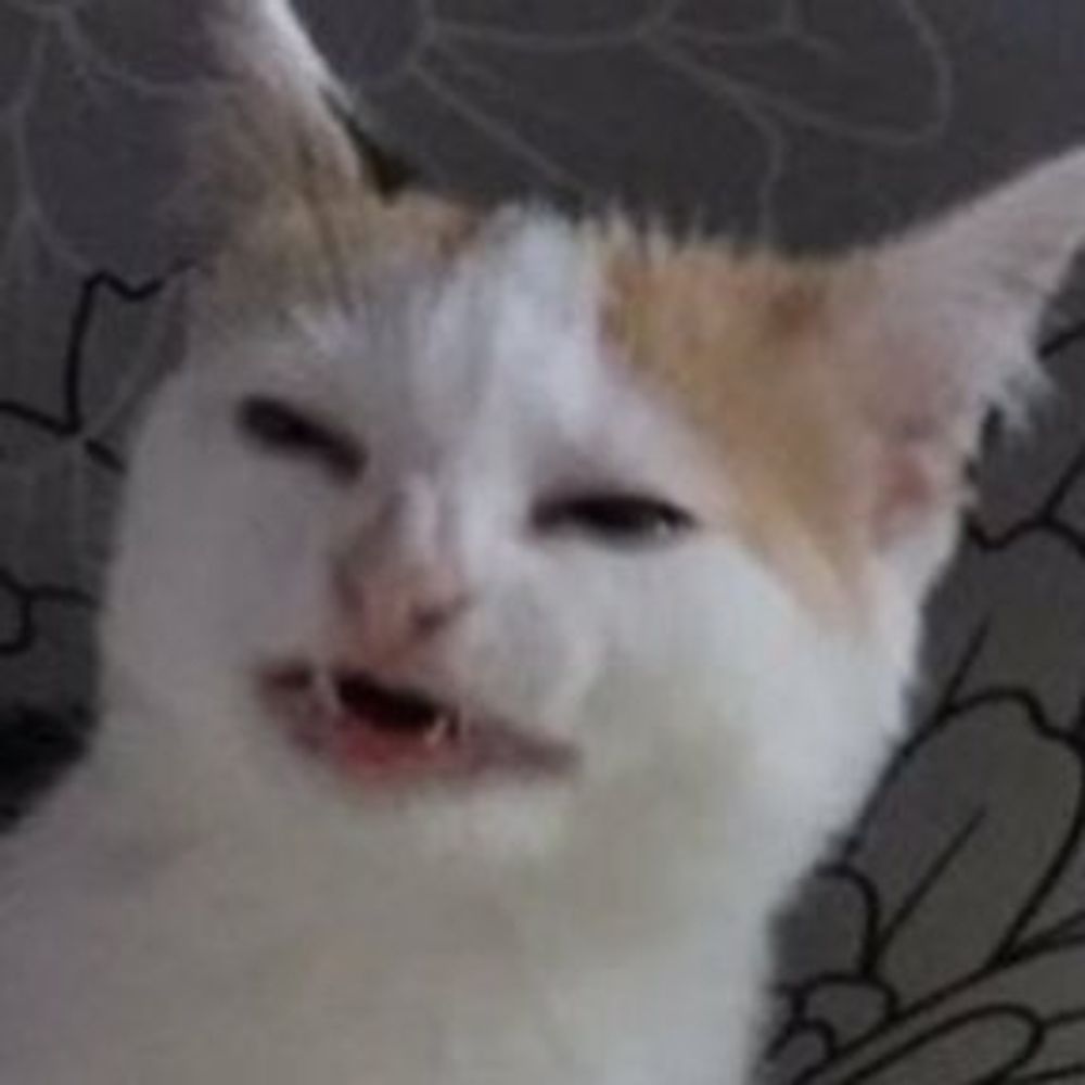 SuperTimeCat