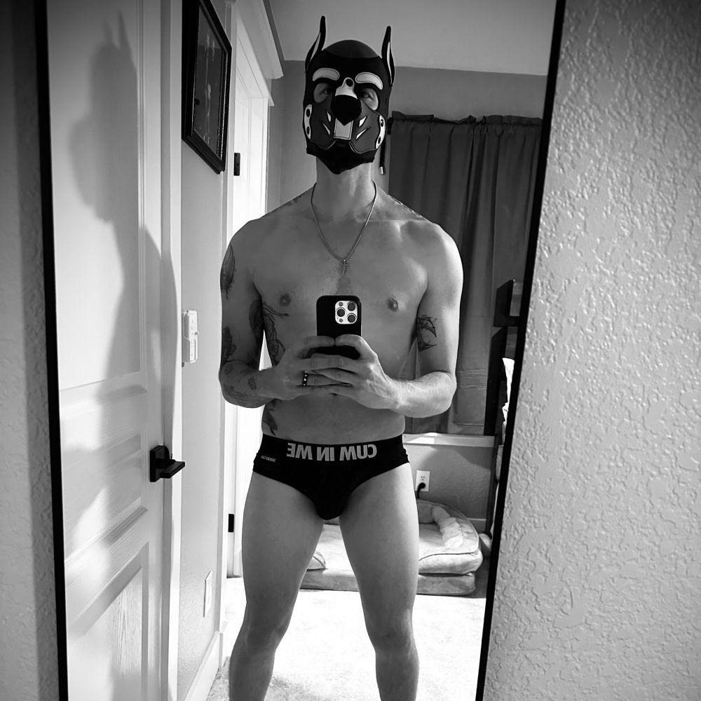 Pup Hydro (✈️ EU Nov 3- Dec 4 🇳🇱🇫🇷🇧🇪 🇮🇹🇩🇪)
