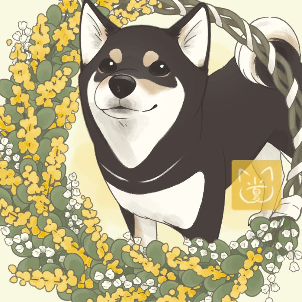 小夏