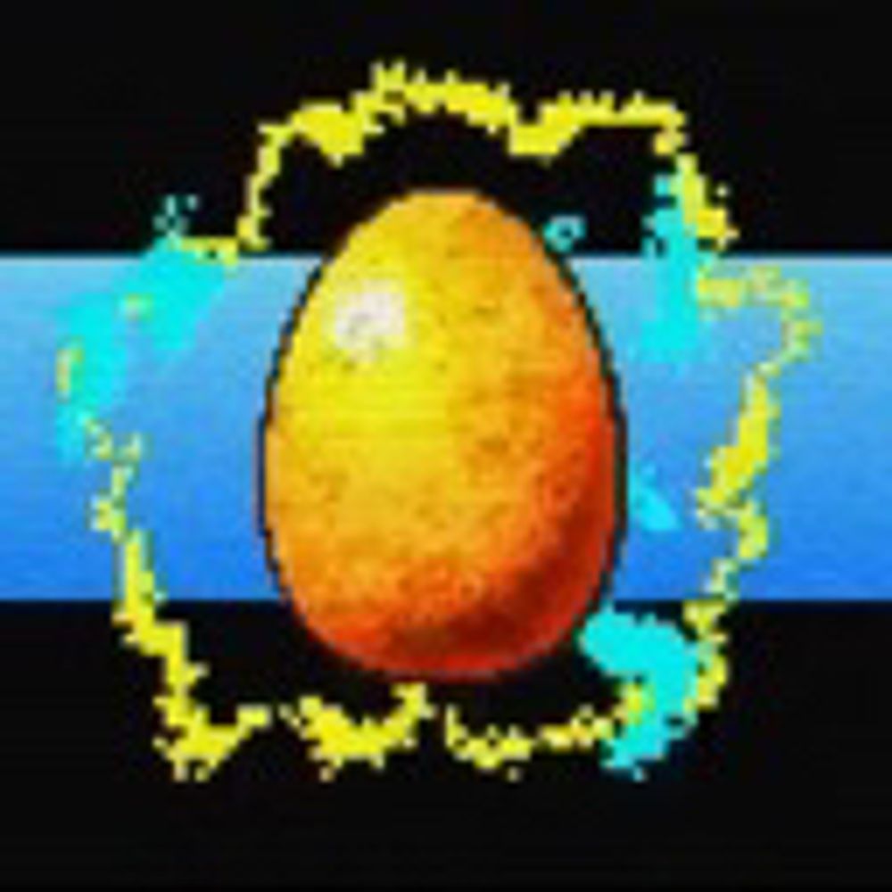 metaterminal