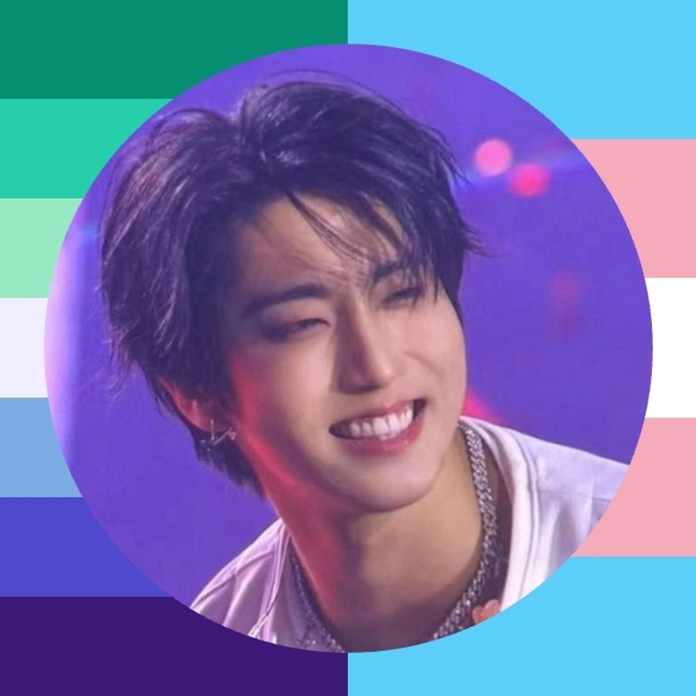𝐋𝐮𝐜𝐢𝐞𝐧 ☆ has skz pcd