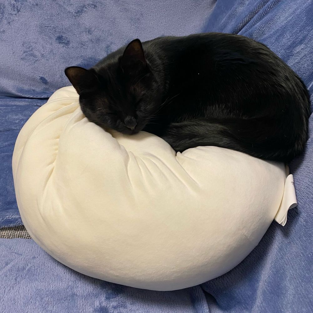 しえも