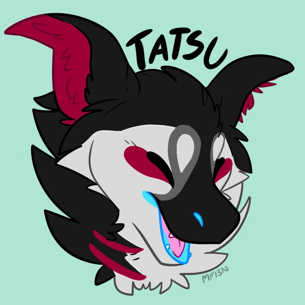 Tatsu the manokit