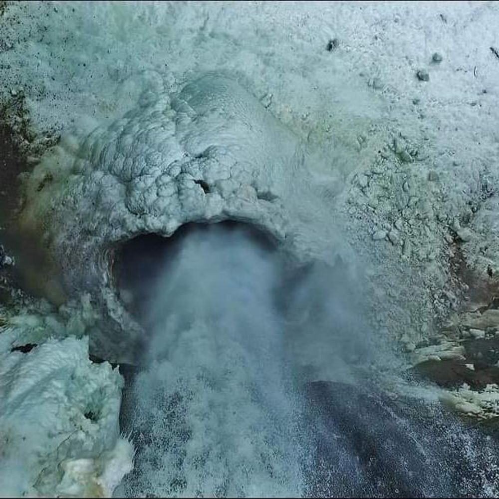 polarpillar.bsky.social