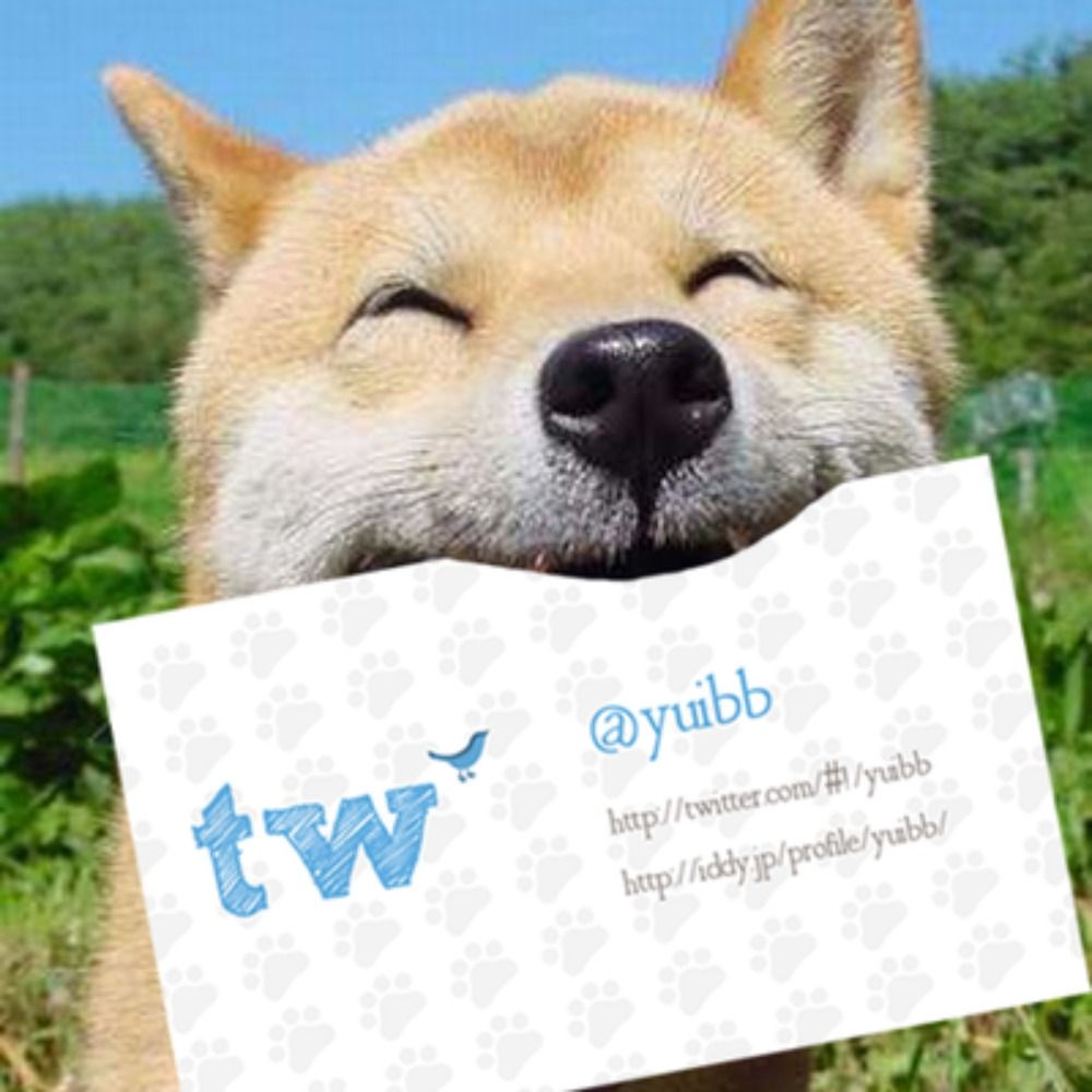 お犬様
