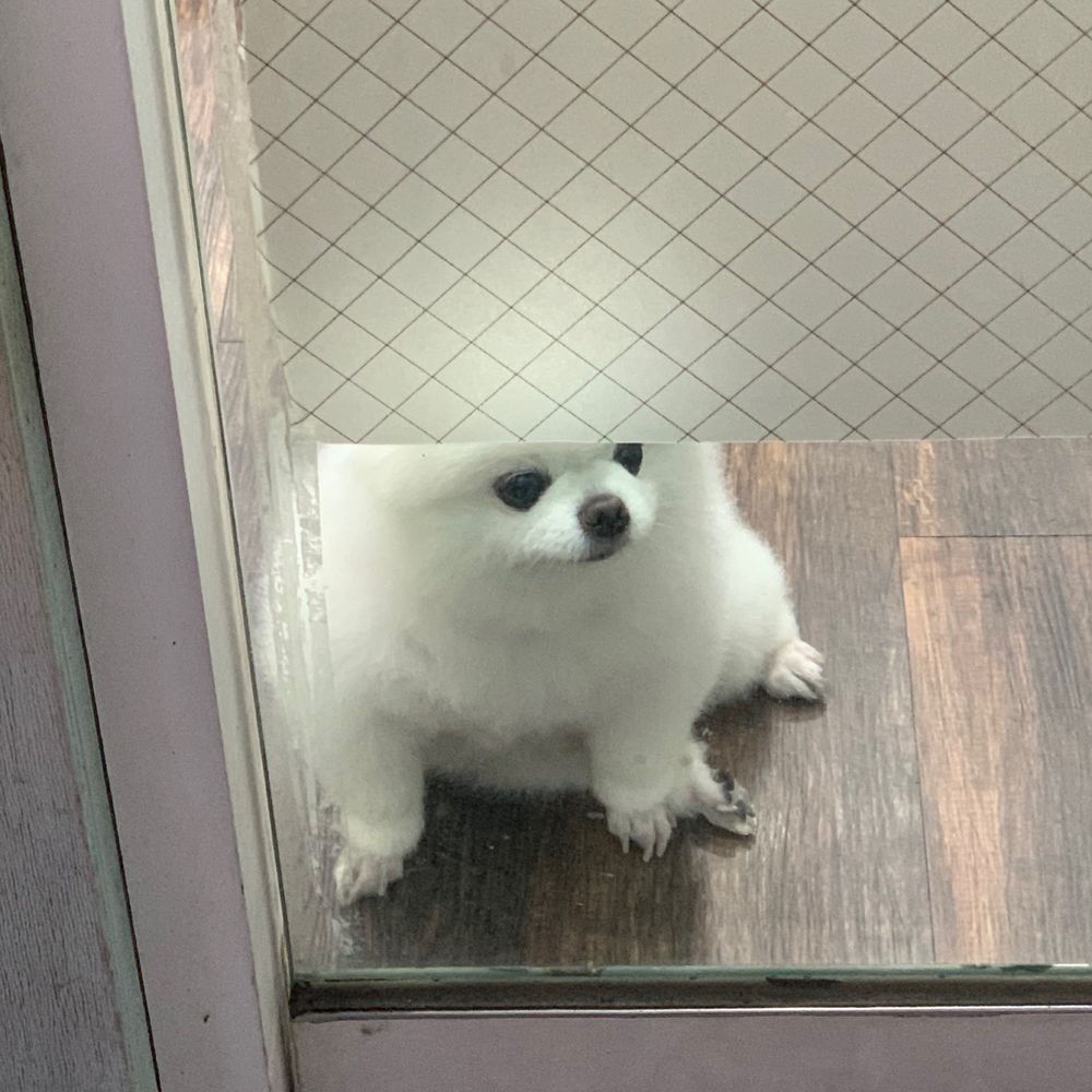 플로