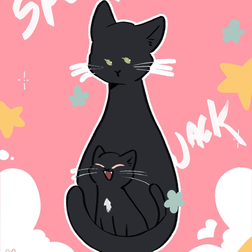gato