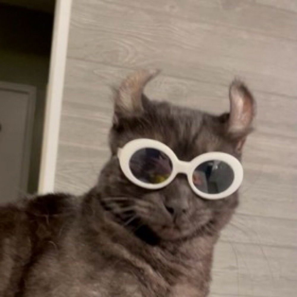 ptidom